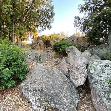 180 M2 Vue Piscine Climatisee Grand Jardin 5000 M2 Cloture Calme Villa Porticcio (Corsica)
