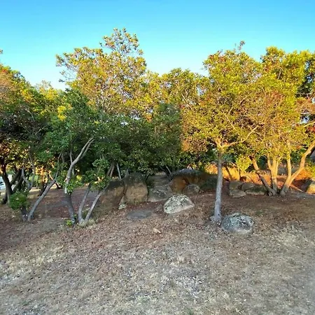 170 M2 Vue Au Calme Grand Terrain *
