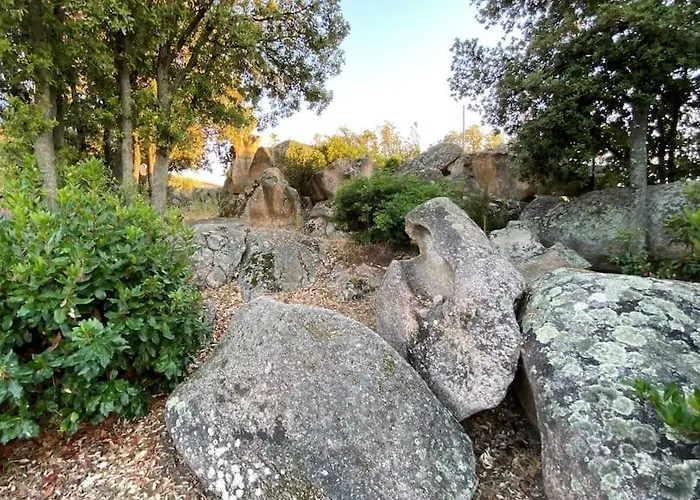 180 M2 Vue Piscine Climatisee Grand Jardin 5000 M2 Cloture Calme Villa Porticcio (Corsica)