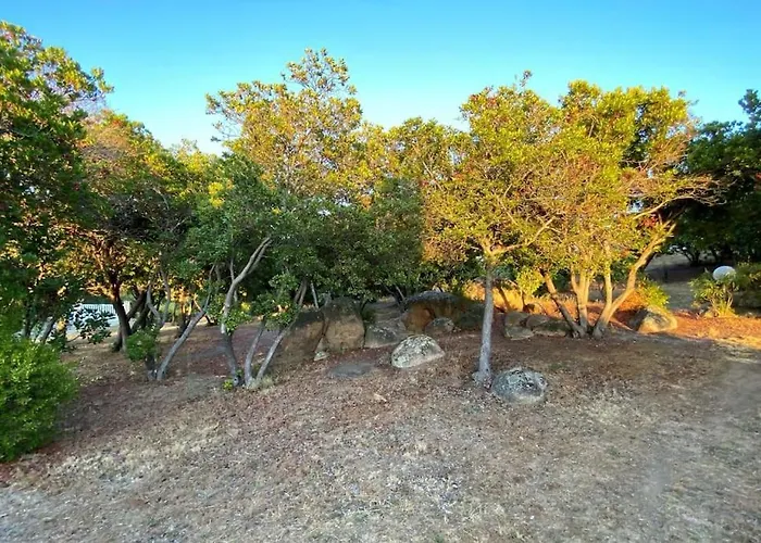 180 M2 Vue Piscine Climatisee Grand Jardin 5000 M2 Cloture Calme *